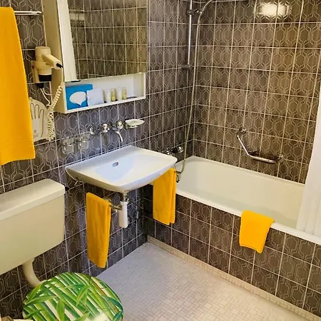 Zum Löwen Apartment